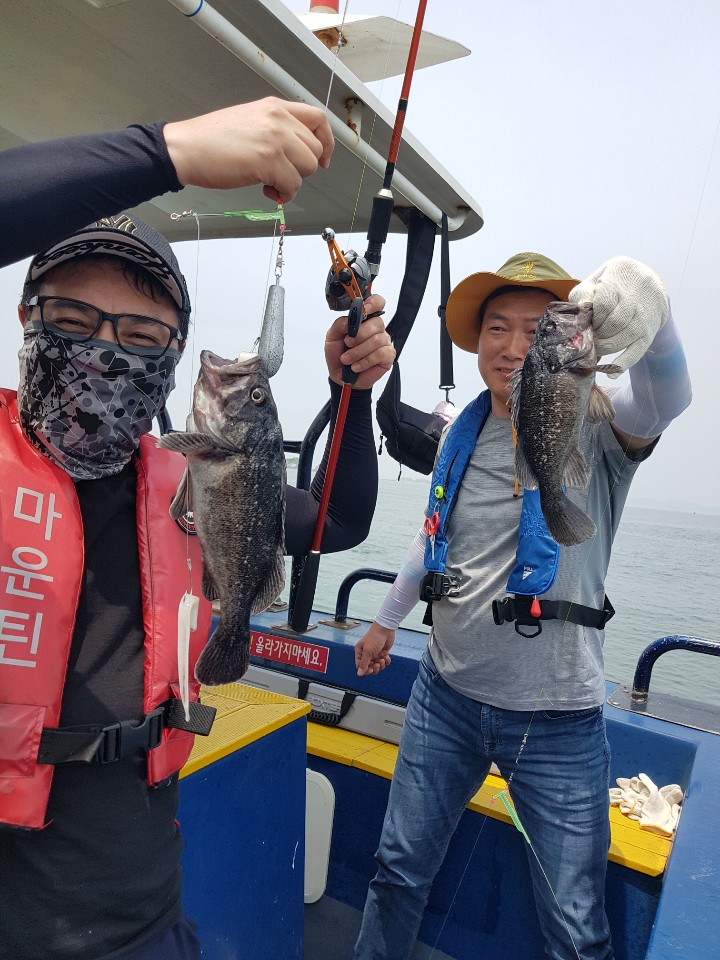 5월30일 바다낚시 오천항 우럭조황 ㅡㅡ마운틴호