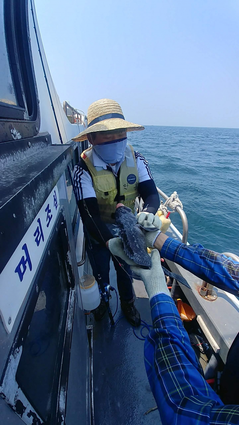 20년 6월 19일 우럭출조 부흥호