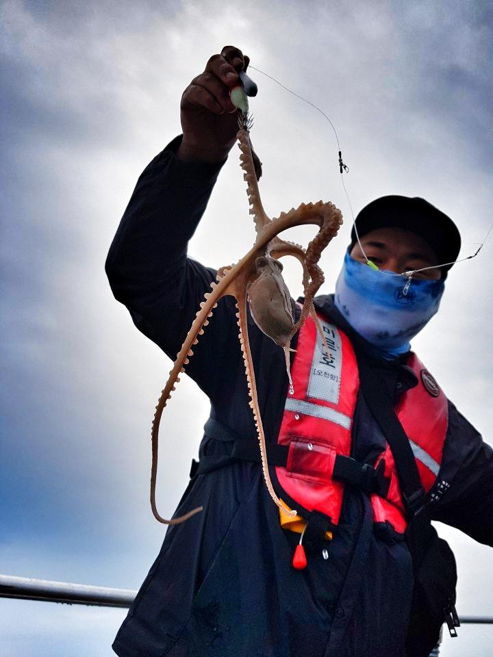 오천항 미르호 10월14일  쭈꾸미 갑오징어 조황입니다~~~