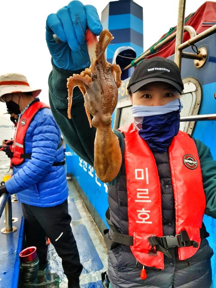 오천항 미르호 10월14일  쭈꾸미 갑오징어 조황입니다~~~