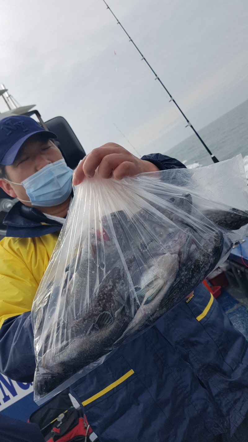 3월20일 서해안 봄 우럭낚시 첫 출조 쌍걸이도!!!!