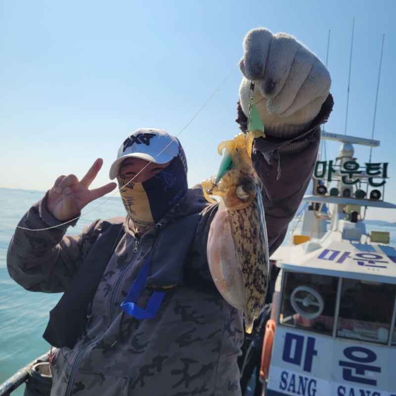 10월12일 오천쭈꾸미와 갑오징어 조황소식^^