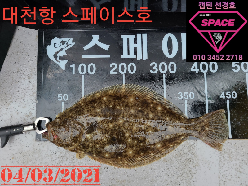 2021년 4월3일 스페이스호 수중전 *광어다운샷* 탐사출조 다녀왔습니다.