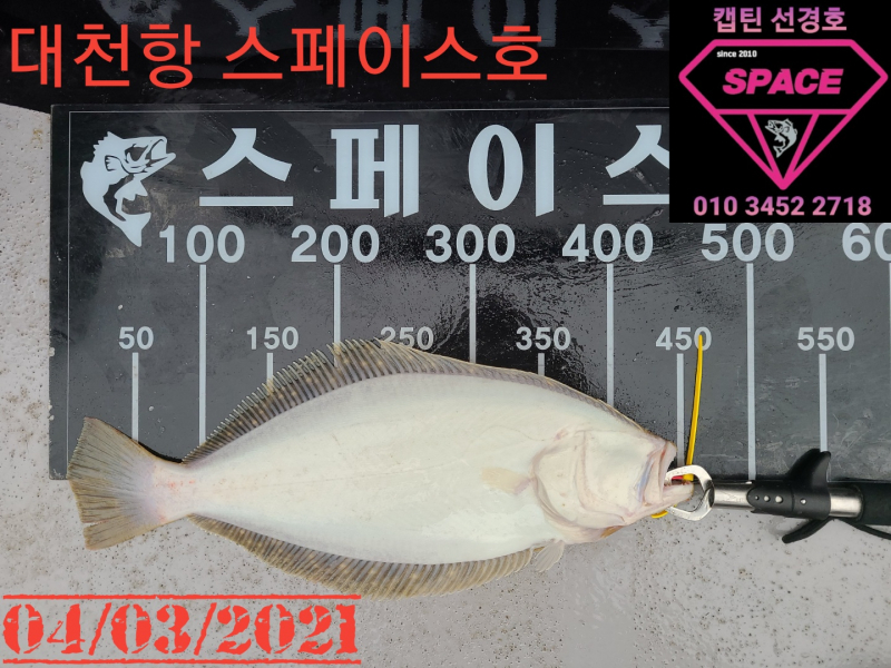 2021년 4월3일 스페이스호 수중전 *광어다운샷* 탐사출조 다녀왔습니다.