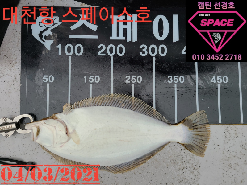 2021년 4월3일 스페이스호 수중전 *광어다운샷* 탐사출조 다녀왔습니다.