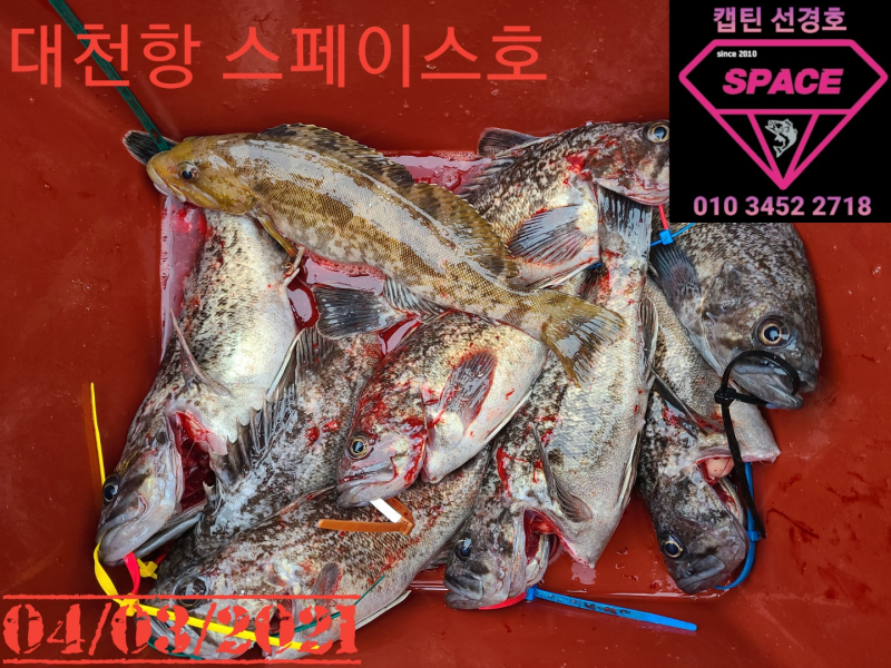 2021년 4월3일 스페이스호 수중전 *광어다운샷* 탐사출조 다녀왔습니다.