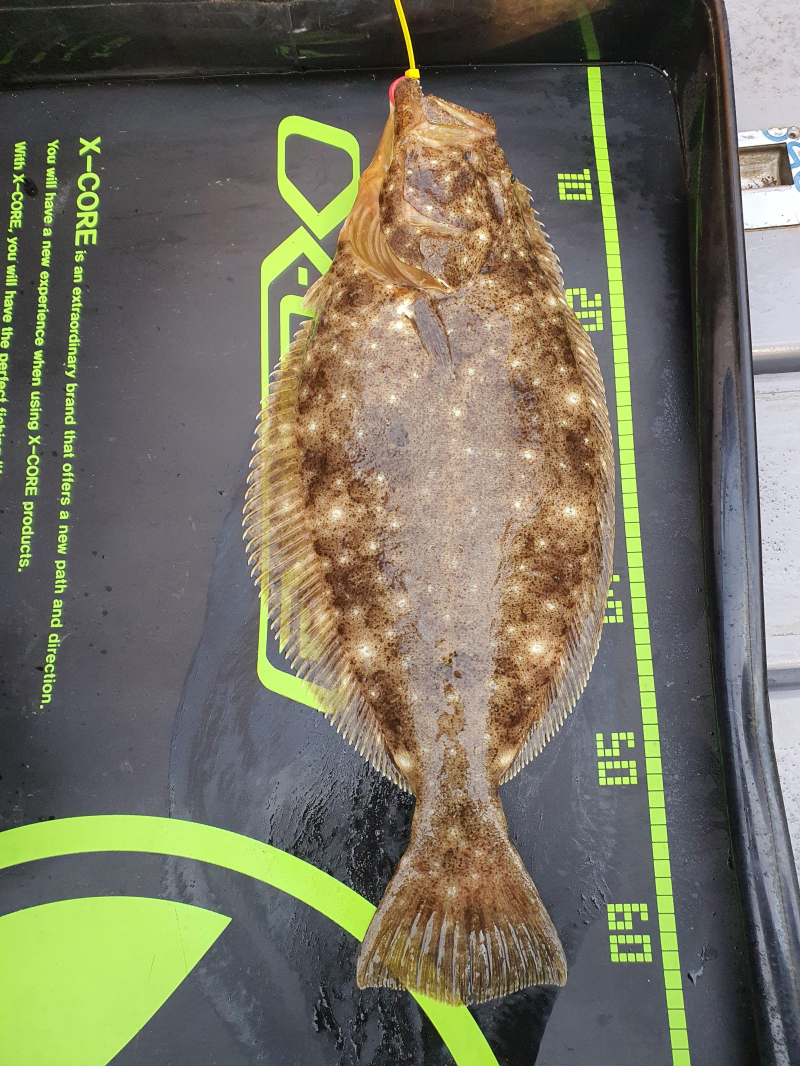 2021년 4월8일 스페이스호 *광어다운샷* 탐사출조 다녀왔습니다.