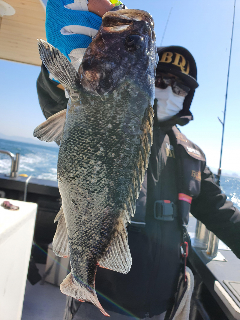 2021년 4월8일 스페이스호 *광어다운샷* 탐사출조 다녀왔습니다.