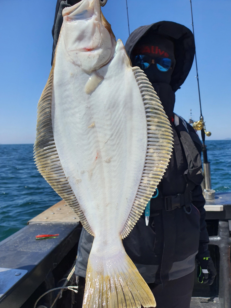 2021년 4월8일 스페이스호 *광어다운샷* 탐사출조 다녀왔습니다.