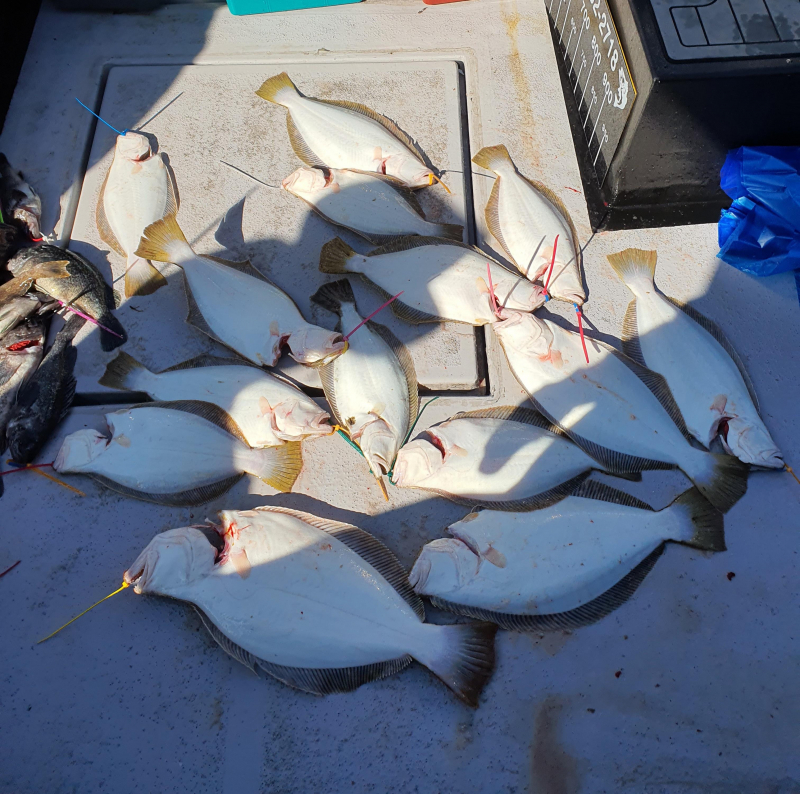 2021년 4월8일 스페이스호 *광어다운샷* 탐사출조 다녀왔습니다.