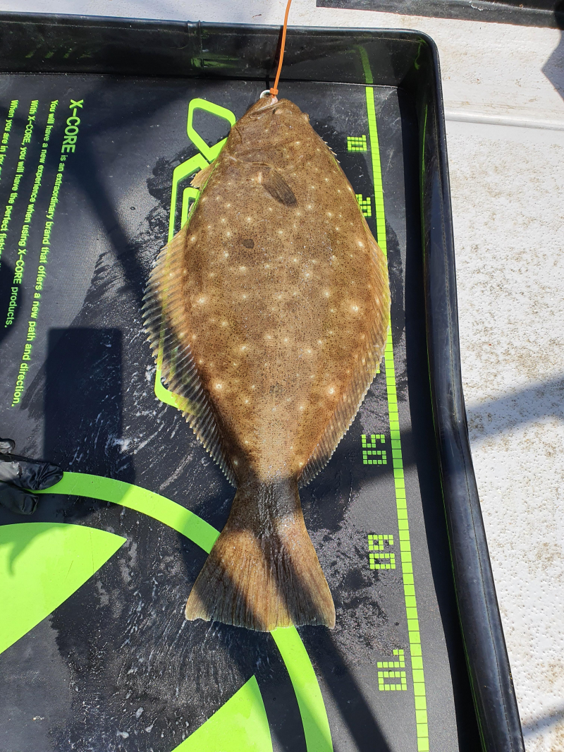 2021년 4월9일 스페이스호 *광어다운샷* 탐사출조 다녀왔습니다.