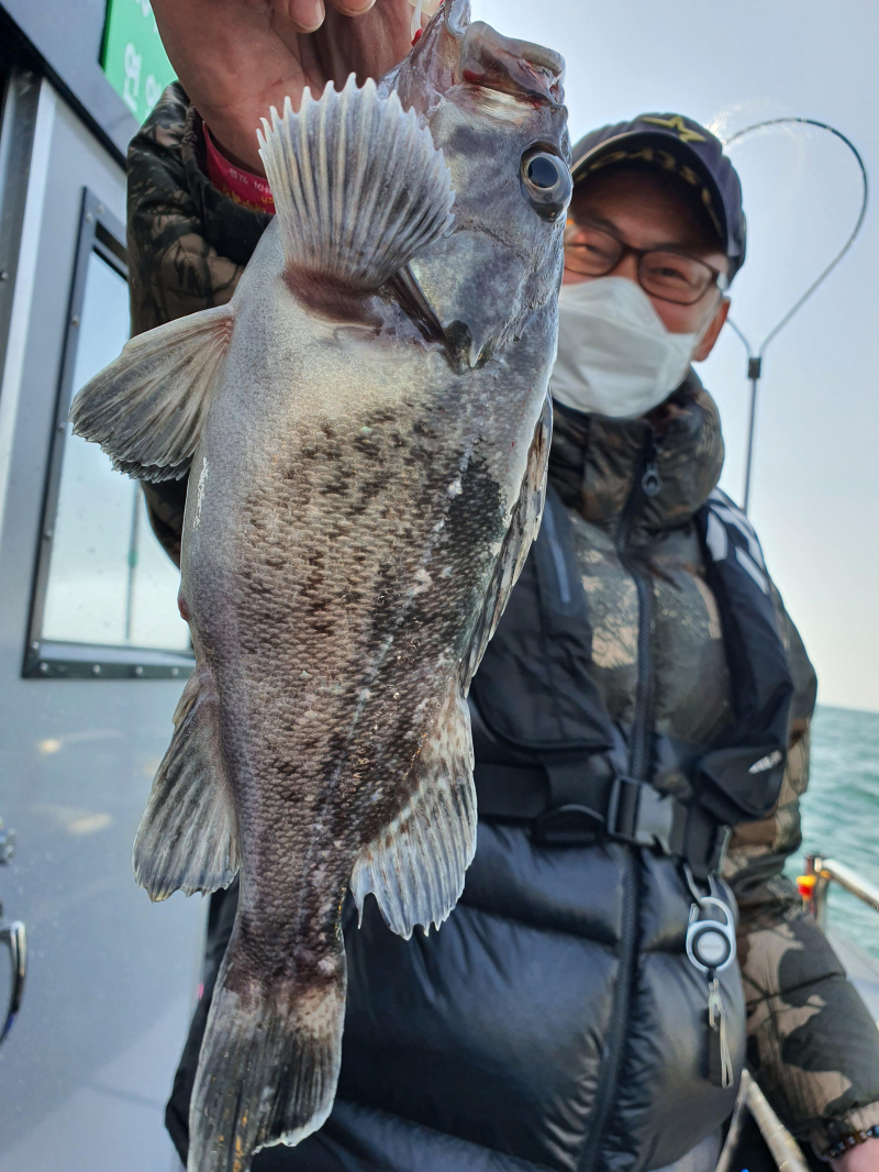 2021년 4월9일 스페이스호 *광어다운샷* 탐사출조 다녀왔습니다.