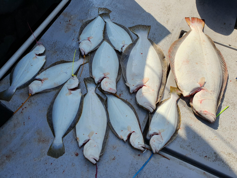 2021년 4월9일 스페이스호 *광어다운샷* 탐사출조 다녀왔습니다.