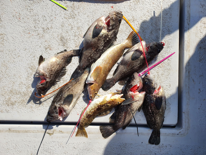 2021년 4월9일 스페이스호 *광어다운샷* 탐사출조 다녀왔습니다.