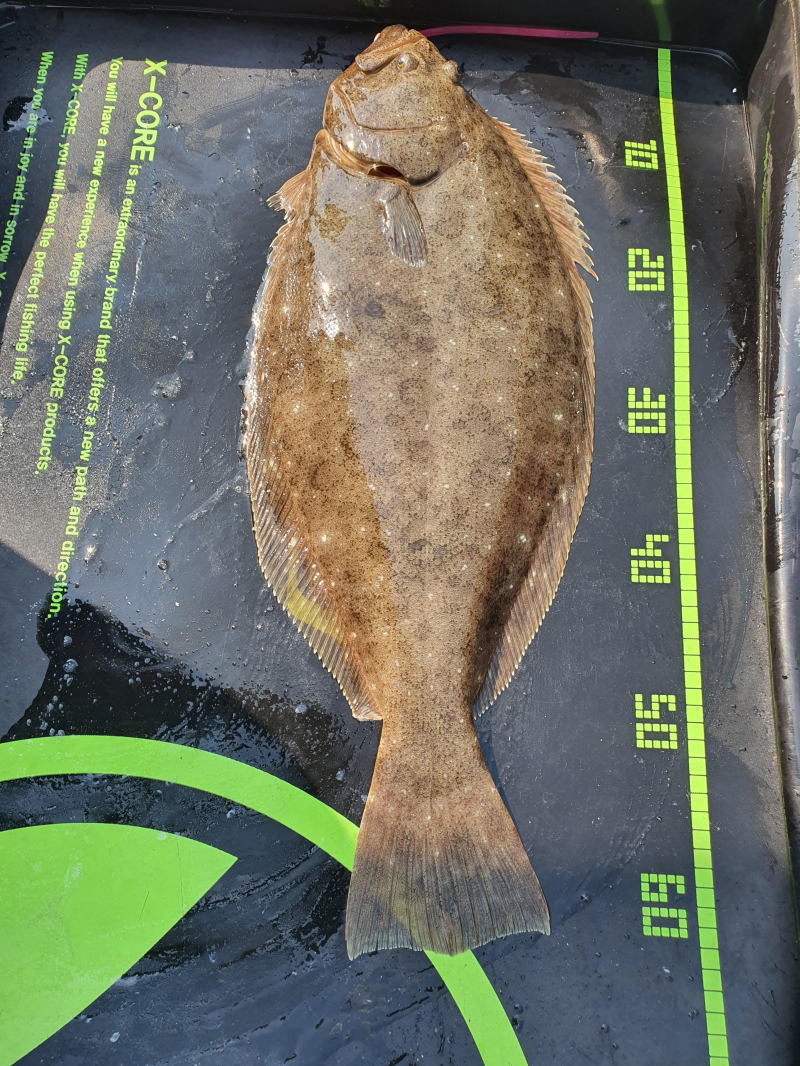 2021년 4월11일 스페이스호 *광어다운샷* 탐사출조 다녀왔습니다.