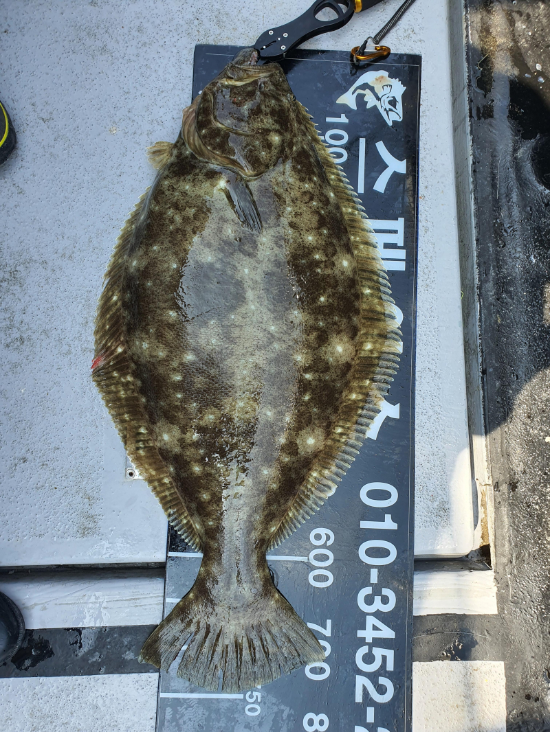 2021년 4월11일 스페이스호 *광어다운샷* 탐사출조 다녀왔습니다.