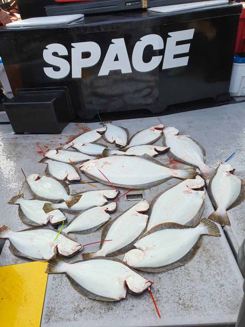 2021년 4월11일 스페이스호 *광어다운샷* 탐사출조 다녀왔습니다.