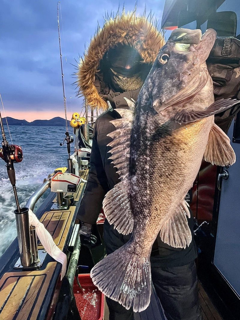 25년 12월27일 대천항 하이피싱호 