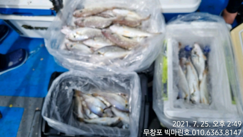7/25 왕백조기 출조 다녀왔습니다.