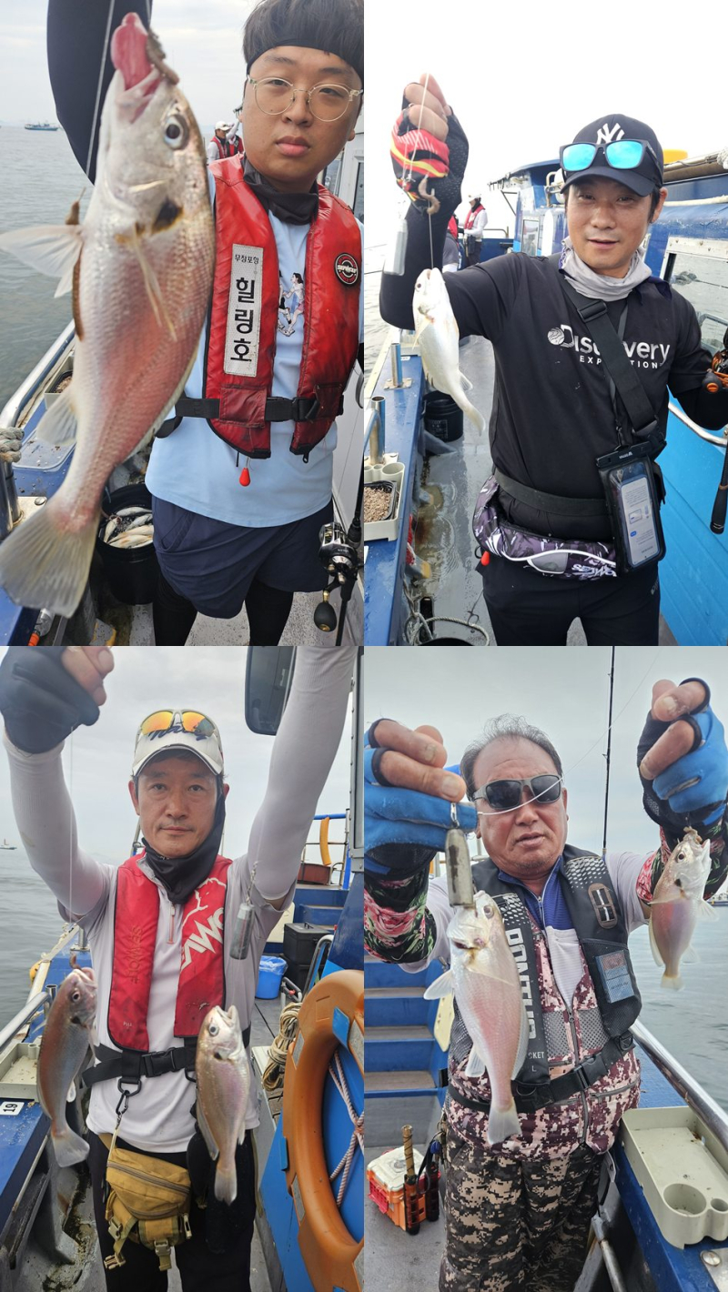 8/3 백조기 조황