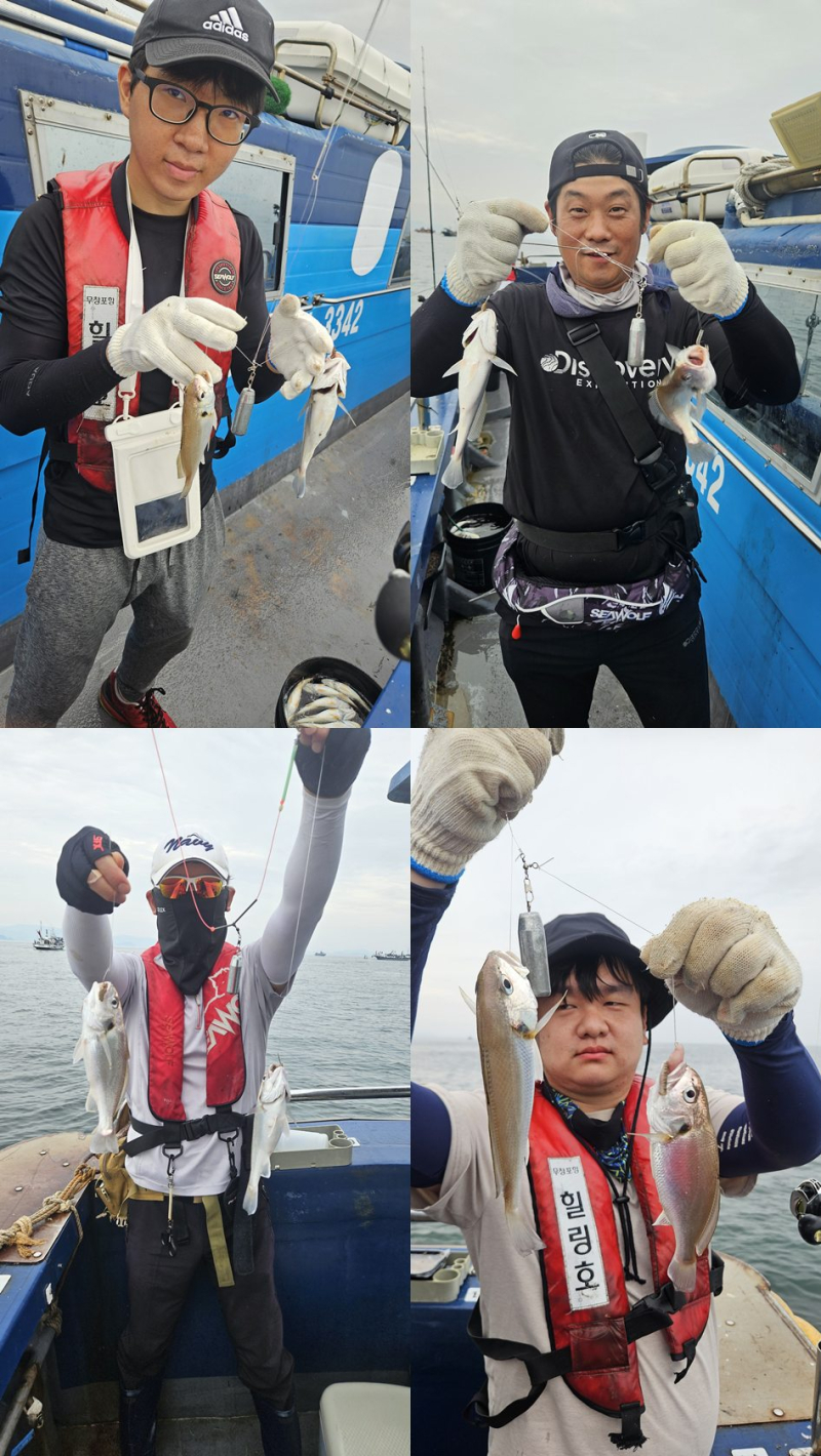 8/3 백조기 조황