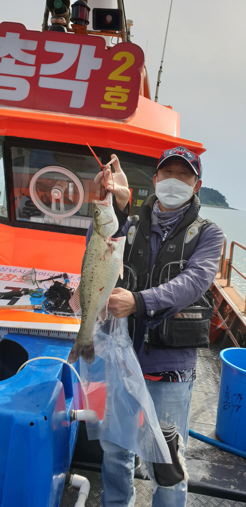 6월1일 농어생미끼외수질 조황