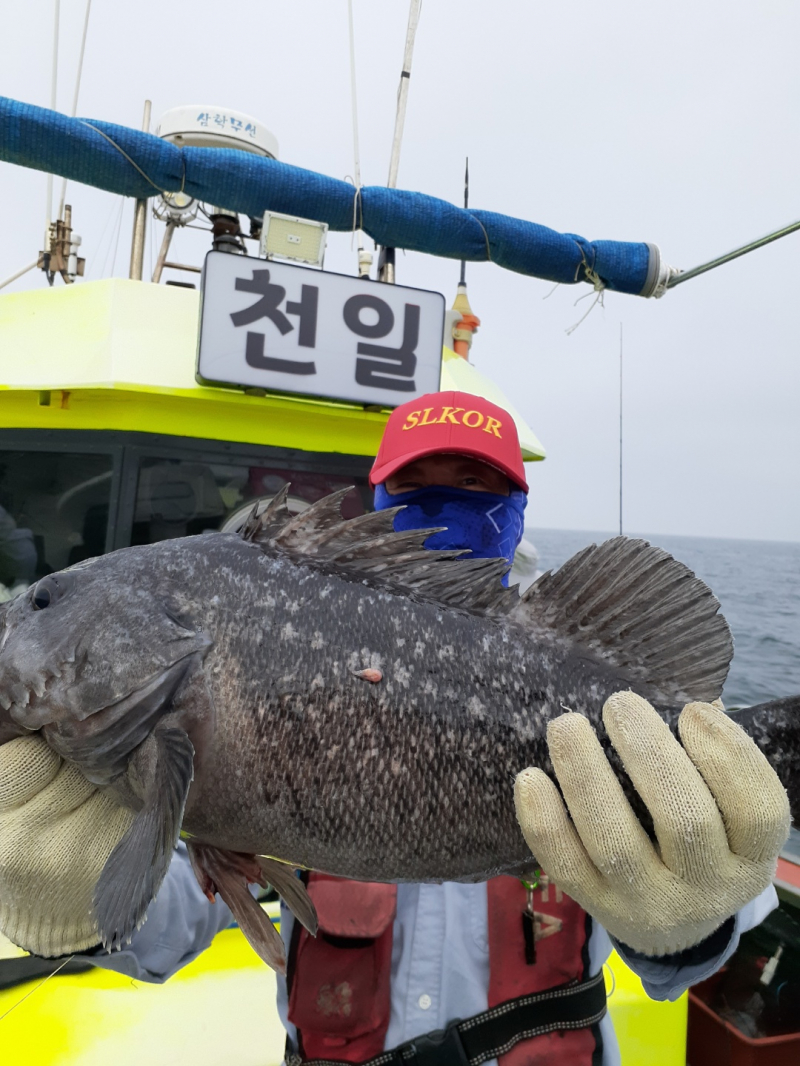 6월19일 우럭조황