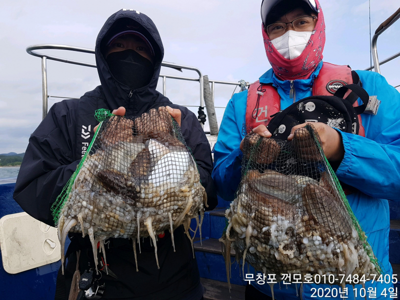 10월4일 무창포 껀모호 쭈갑이 다녀왔습니다.