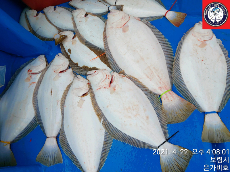 4월22일 출조후기