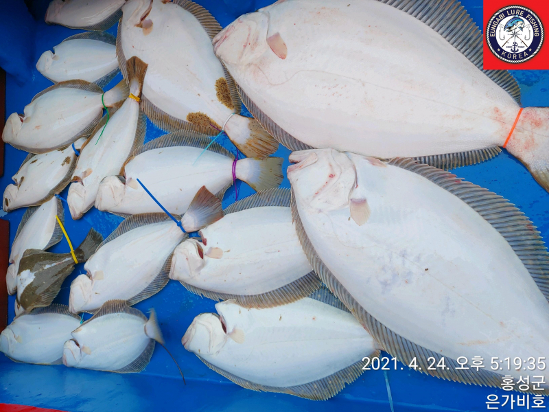 4월24일 출조후기