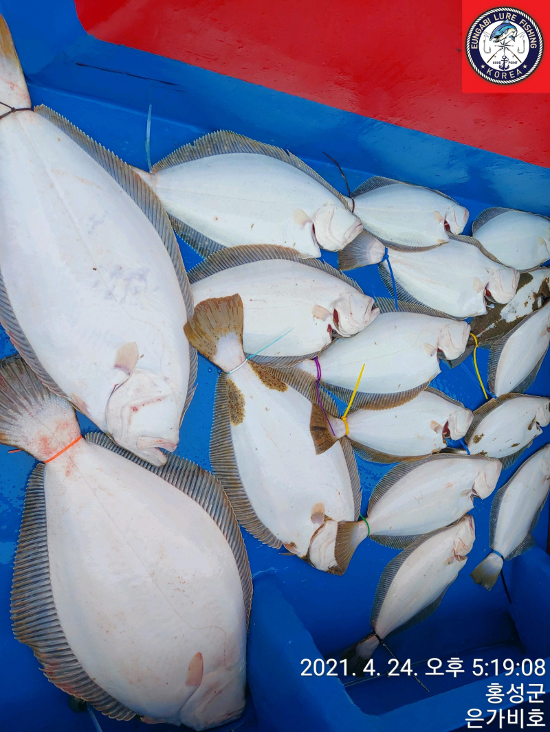 4월24일 출조후기