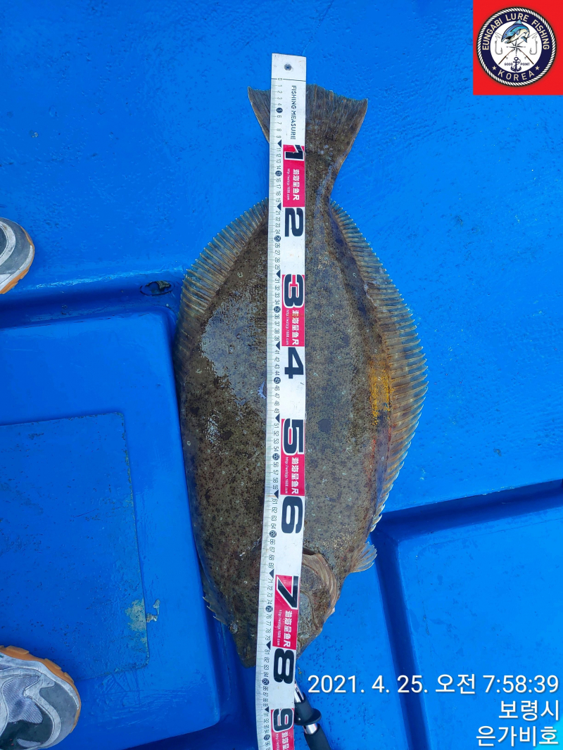 4월25일 출조후기