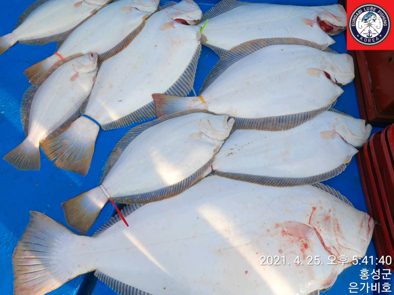 4월25일 출조후기