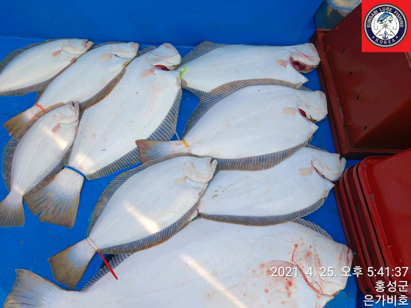 4월25일 출조후기