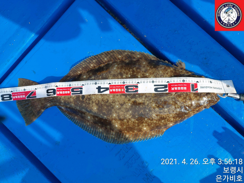 4월26일 출조후기