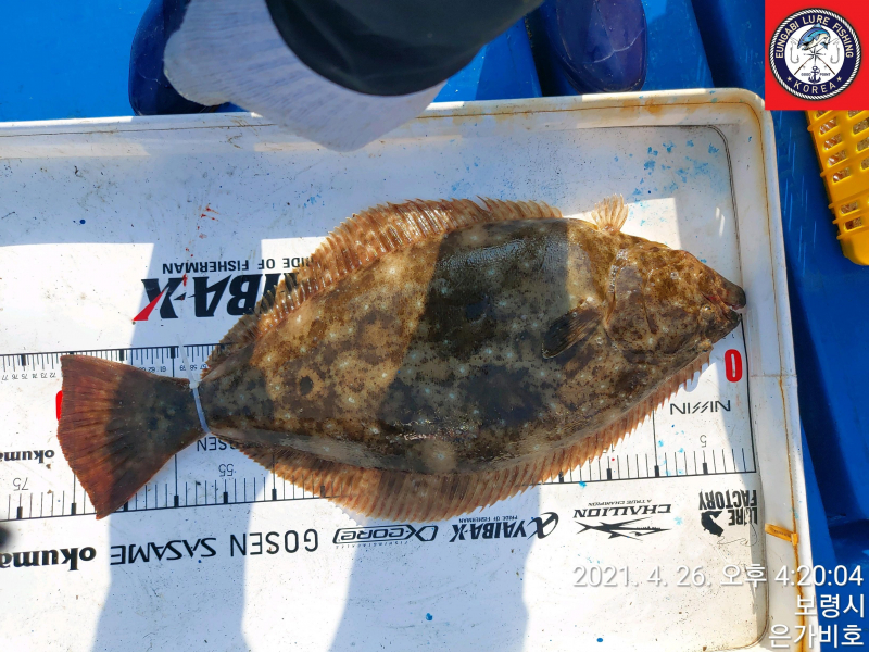 4월26일 출조후기