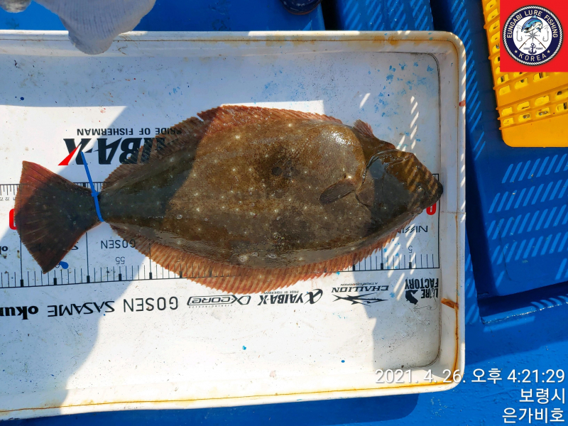 4월26일 출조후기