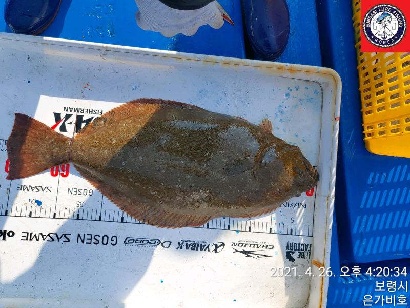 4월26일 출조후기