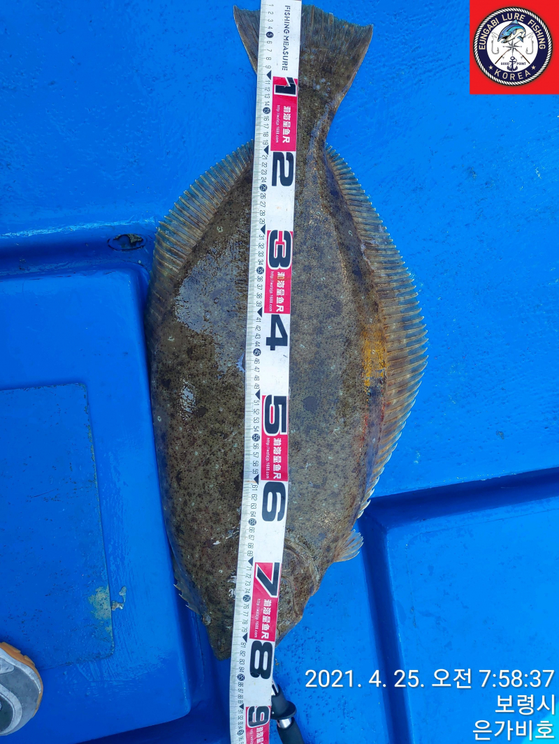 4월26일 출조후기