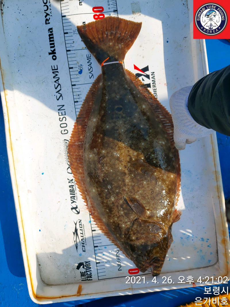 4월26일 출조후기