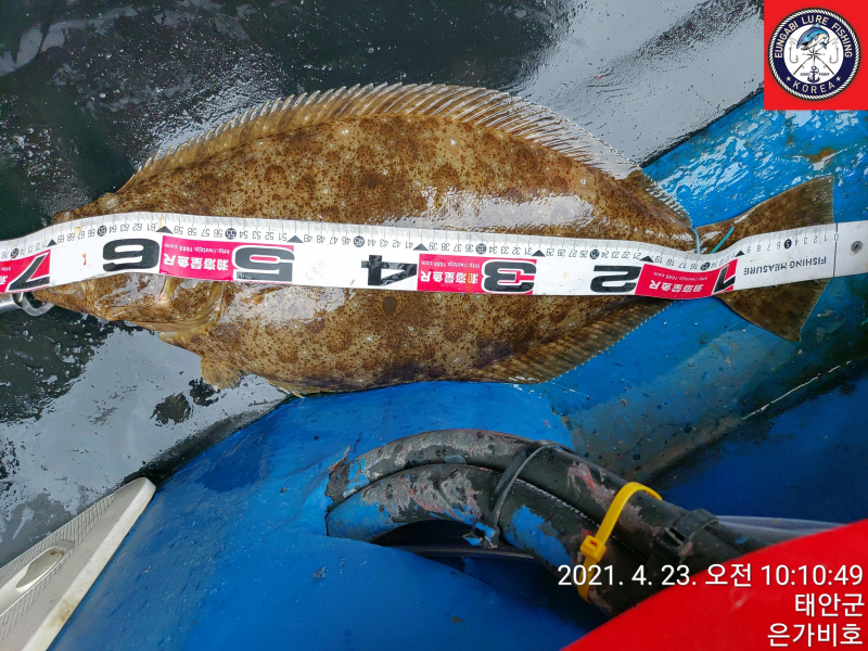 4월26일 출조후기