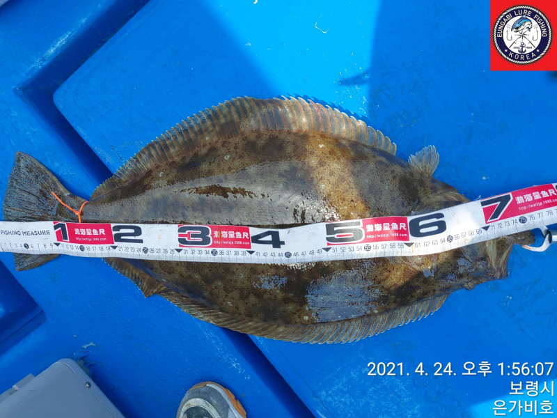 4월26일 출조후기