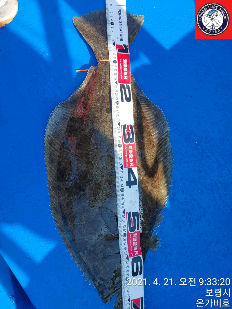 4월26일 출조후기