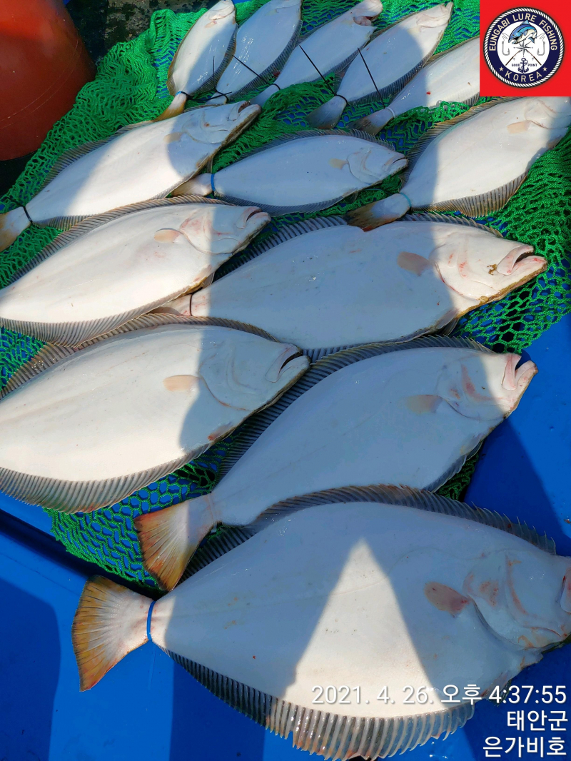 4월26일 출조후기