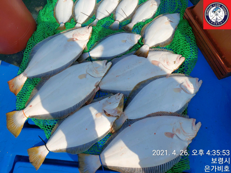 4월26일 출조후기