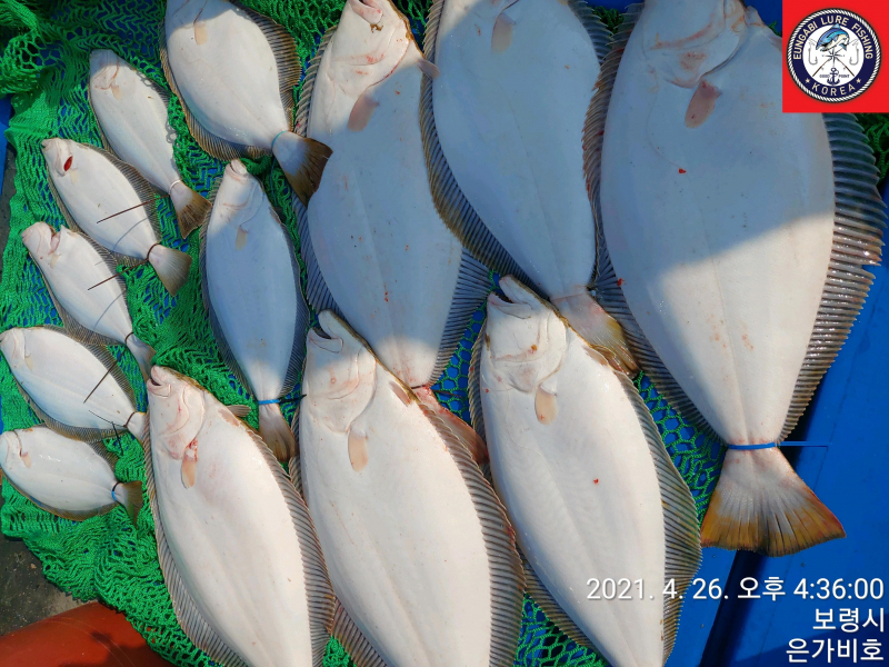 4월26일 출조후기