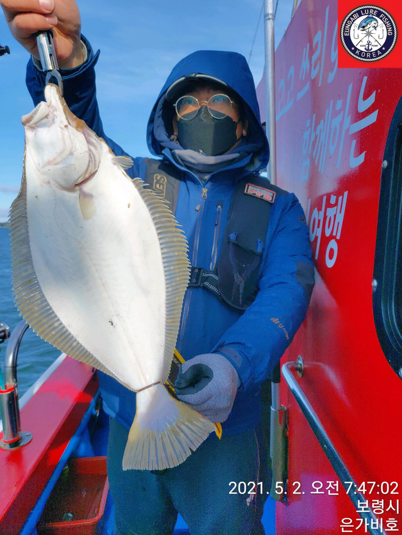 5월2일 광어다운샷 출조후기
