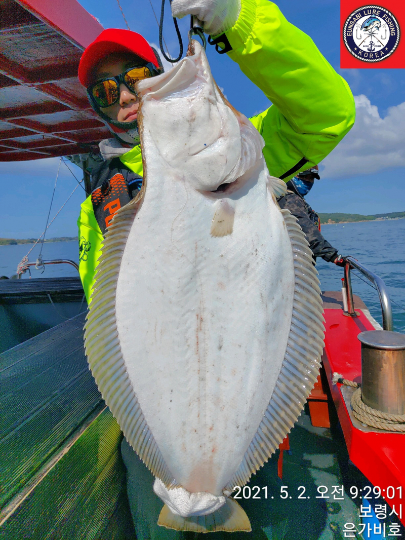 5월2일 광어다운샷 출조후기