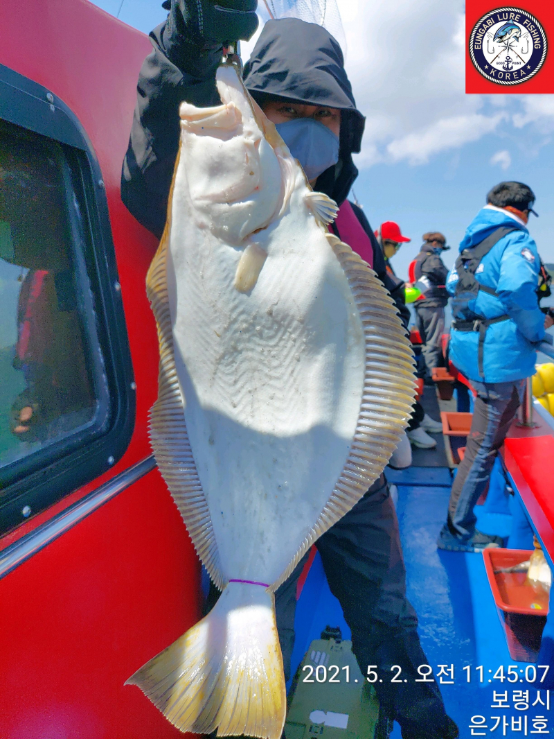 5월2일 광어다운샷 출조후기