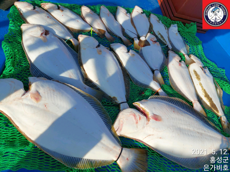 5월12일 출조후기